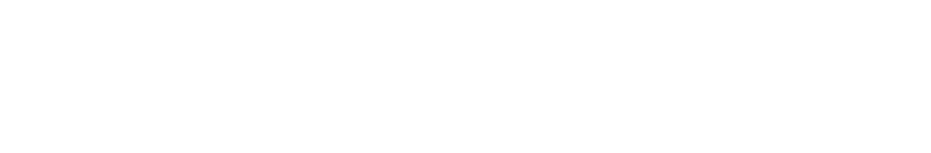 Logo Finanzgenies Weiß